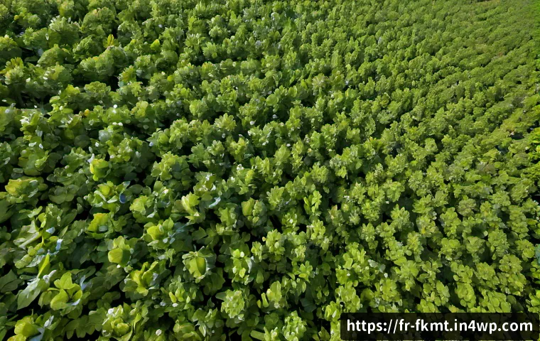 Start-up de fermentation artisanale : comment repérer les projets crédibles et choisir leurs produits 4 전통 발효식품 관련 스타트업 소개 관련 이미지 2